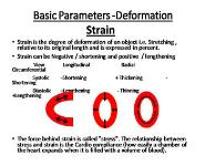 Basic Introduction to Speckle Tracking Echocardiography PowerPoint Presentation