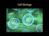 Notes on Cell Biology