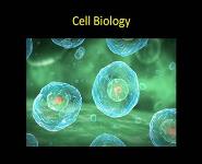 Notes on Cell Biology PowerPoint Presentation Notes