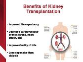 Kidney Transplantation 