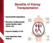 Kidney Transplantation  PowerPoint Presentation