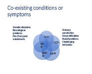 Autism Spectrum Disorder in Children PowerPoint Presentation
