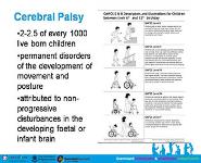 Improving Outcomes for Families of Children with CP with a Parenting Intervention combined with Acceptance and Commitment Therapy PowerPoint Presentation Notes