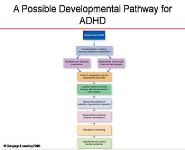 Attention Deficit Hyperactivity Disorder (ADHD) PowerPoint Presentation Notes