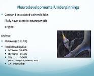 An Hour of Autism-Diagnosis Treatment What We Do and Do Not Know PowerPoint Presentation