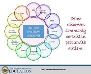 Instructional Strategies for Students with Autism Spectrum Disorder PowerPoint Presentation Notes