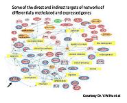 Autism Spectrum Disorders PowerPoint Presentation