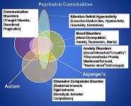 Incidence of Autism Spectrum Disorders PowerPoint Presentation Notes