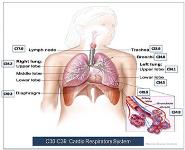 ICD Coding PowerPoint Presentation Notes