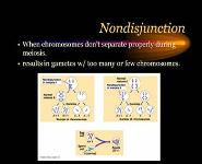 Human Genetic Disorders PowerPoint Presentation