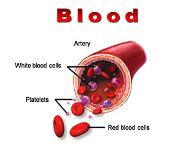 Blood PowerPoint Presentation