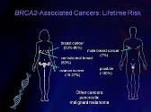 Introduction To Cancer Genetics