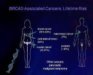 Introduction To Cancer Genetics PowerPoint Presentation