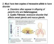 Extending Mendelian Genetics PowerPoint Presentation Notes