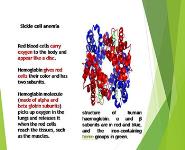 Genetics Disorders PowerPoint Presentation Notes