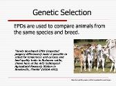 Genetic Selection and Transfer