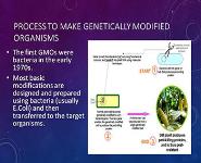 Human Technology PowerPoint Presentation