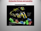 Introduction To Cell And Molecular Biology