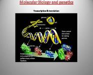 Introduction To Cell And Molecular Biology PowerPoint Presentation Notes