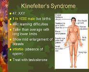 Mutations and Genetic Disorders PowerPoint Presentation Notes