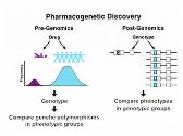 Pharmacogenetics and Pharmacogenomics