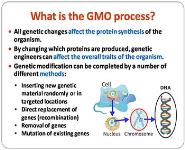 About Genetic Engineering PowerPoint Presentation
