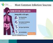 Sepsis 101 PowerPoint Presentation