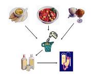 Nutrition In Sick Patients PowerPoint Presentation