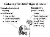 Respiratory Failure Diagnosis and Management