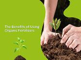 The Benefits of Using Organic Fertilizers