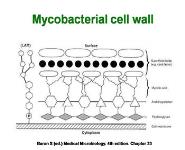Antitubercular Agents PowerPoint Presentation
