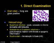 Laboratory Diagnosis of Fungal Infections PowerPoint Presentation
