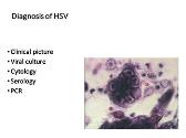 Human Herpes Viruses-HHV
