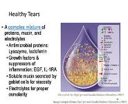 Dry Eye PowerPoint Presentation