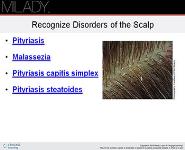 Properties of the Hair and Scalp PowerPoint Presentation Notes
