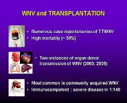 Infections Following Renal Transplantation and An Update on CMV PowerPoint Presentation