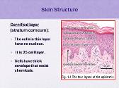 Introduction to Dermatology
