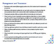 Scabies PowerPoint Presentation Notes