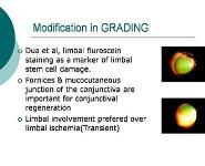 Chemical burn PowerPoint Presentation Notes