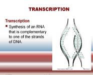 GENE EXPRESSION Medical Notes