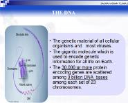 HUMAN GENETICS Medical Notes