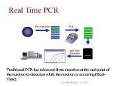 REAL TIME PCR