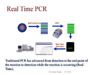 REAL TIME PCR PowerPoint Presentation