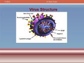 INFLUENZA VIRUSES