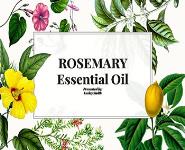 Rosemary Essential Oil PowerPoint Presentation