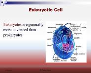 Introduction to Molecular Biology PowerPoint Presentation