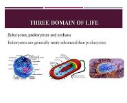 Molecular Biology PowerPoint Presentation