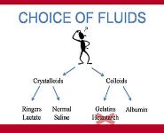 Sepsis-Identification and Management in an Acute Care Setting PowerPoint Presentation Notes