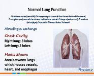Chronic Obstructive Pulmonary Disease PowerPoint Presentation Notes