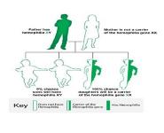 Hemophilia Medical Notes